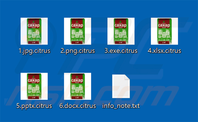 Pliki zaszyfrowane przez Citrus ransomware (rozszerzenie .citrus)