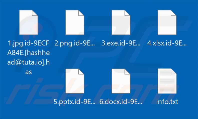 Pliki zaszyfrowane przez ransomware Has (rozszerzenie .has)