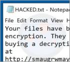 Ransomware Smaug