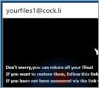 Ransomware YOUF