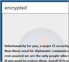 Ransomware PAYMENT