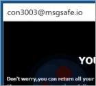 Ransomware Con30