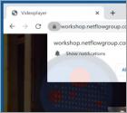 Reklamy netflowgroup.com
