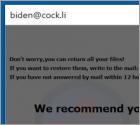 Ransomware Biden