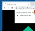 Przekierowanie POP-UP captcha-verification.systems