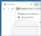 Reklamy bengekoo.com