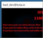 Ransomware Bdev