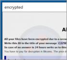 Ransomware CALVO