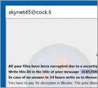 Ransomware Combo