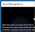 Ransomware ZEUS