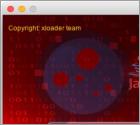 Malware XLoader