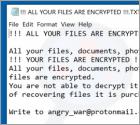 Ransomware ZEPPELIN