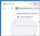 Reklamy thewowfeed[.]com