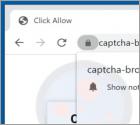Reklamy captcha-bros.com