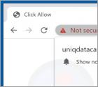 Reklamy uniqdatacaptcha.top