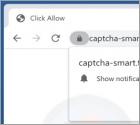 Reklamy captcha-smart.top
