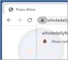 Reklamy wholedailyfeed.com