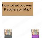 Jak znaleźć swój adres IP na komputerze Mac?
