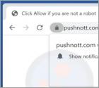 Reklamy pushnott.com