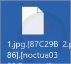 Ransomware Noctua