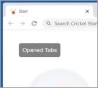 Porywacz przeglądarki Cricket Start