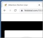 Oszustwo POP-UP Norton - Your Phone May Be Receiving Many Spam Texts