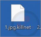 Ransomware Killnet
