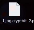 Ransomware CryptBIT 2.0