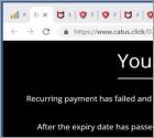 Oszustwo POP-UP McAfee - Your Card Payment Has Failed!