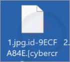 Ransomware CY3