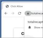 Reklamy totalrecaptcha.top