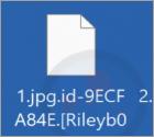 Ransomware Nlb