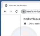 Reklamy mediumhiquality.com