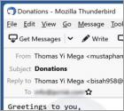 Oszustwo e-mailowe Donation From Lottery Winner