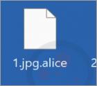Ransomware Alice