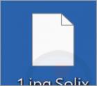 Ransomware Solix