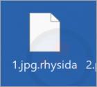 Ransomware Rhysida