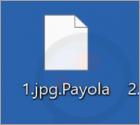 Ransomware Payola