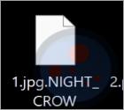 Ransomware NIGHT CROW