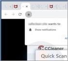 Oszustwo POP-UP CCleaner Total Protection