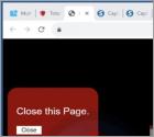 Oszustwo POP-UP Our Security Scans Have Detected Potential Vulnerabilities