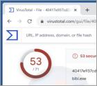 Malware wycieraczka BiBi