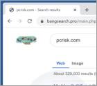 Przekierowanie bangsearch.pro