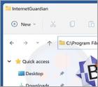 Niechciana aplikacja InternetGuardian