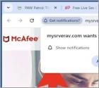 Reklamy Mysrverav.com