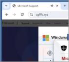Oszustwo POP-UP Microsoft Detected A Unusual Application In Your System