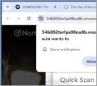Nnoomm.co.in Reklamy