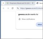Geeesx.co.in Reklamy