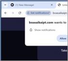 Boasaikaipt.com Reklamy