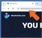 Blockchain.com Money Transfer Oszustwo